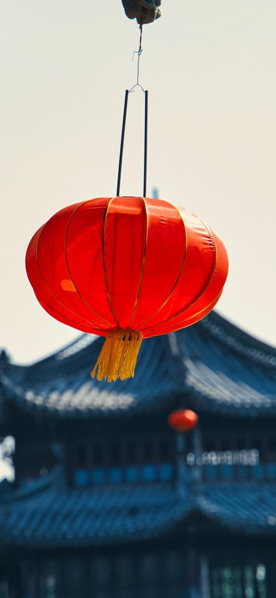 英语六级真题 App 阅读答题界面截图，竖屏显示英文长文段落，生词以浅紫色下划线标出，右下角有收藏生词的小图标